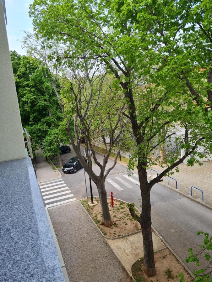 Apartment Alea Senj  Eksteriør billede